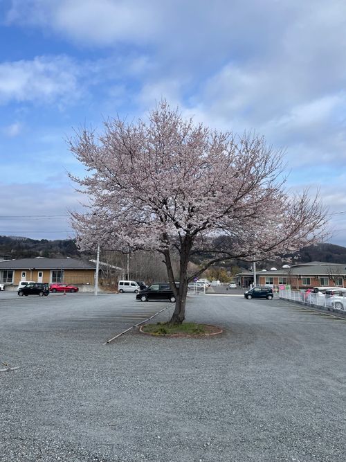 徒歩ソロで行く、武甲山と荒川の眺めが最高な、ともえ川Parkへ！ ともえ川Park ソロキャンプ 区画サイト ma9さんのキャンプブログ CAMPiii（キャンピー） -キャンプ専用SNS キャンプのすべてがここに集まる-