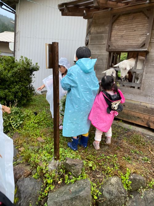 整うキャンプ場 ホーリー・ファンガス ファミリーキャンプ オートサイト 区画サイト まくさんのキャンプブログ CAMPiii（キャンピー） -キャンプ専用SNS キャンプのすべてがここに集まる-