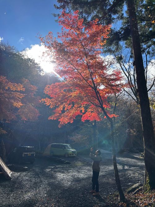 紅葉🍁キャンプ 山伏オートキャンプ場 ソロキャンプ グループキャンプ 区画サイト Genさんのキャンプブログ CAMPiii（キャンピー） -キャンプ専用SNS キャンプのすべてがここに集まる-