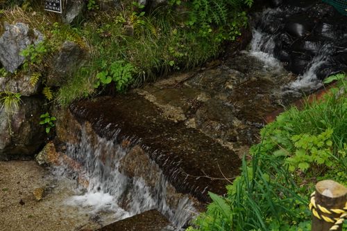 自然の魅力があふれっぱ 揖斐高原貝月リゾート ファミリーキャンプ オートサイト 区画サイト さおりさんのキャンプブログ CAMPiii（キャンピー） -キャンプ専用SNS キャンプのすべてがここに集まる-