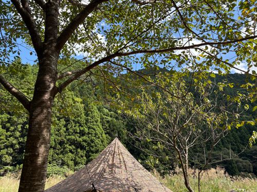 カムフラージュ😎♬ いくみキャンプ場 ソロキャンプ フリーサイト camping roll♪さんのキャンプブログ CAMPiii（キャンピー） -キャンプ専用SNS キャンプのすべてがここに集まる-