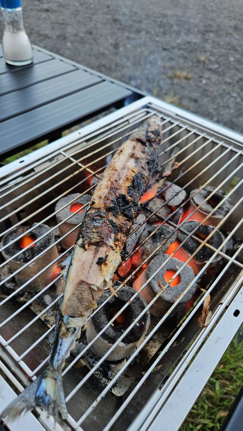 その後 日本 ソロキャンプ グループキャンプ 区画サイト フリーサイト オートサイト IZUIZUさんのキャンプブログ CAMPiii（キャンピー） -キャンプ専用SNS キャンプのすべてがここに集まる-