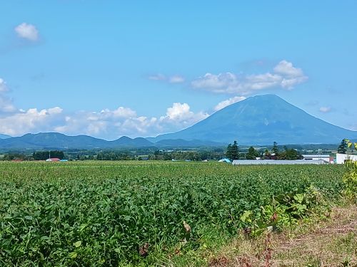 北海道の旨い!を食べるC△mp旅’2025(3 of 4) 北海道 ファミリーキャンプ キャンピングカー vios outdoor'sさんのキャンプブログ CAMPiii(キャンピー) -キャンプ専用SNS キャンプのすべてがここに集まる-