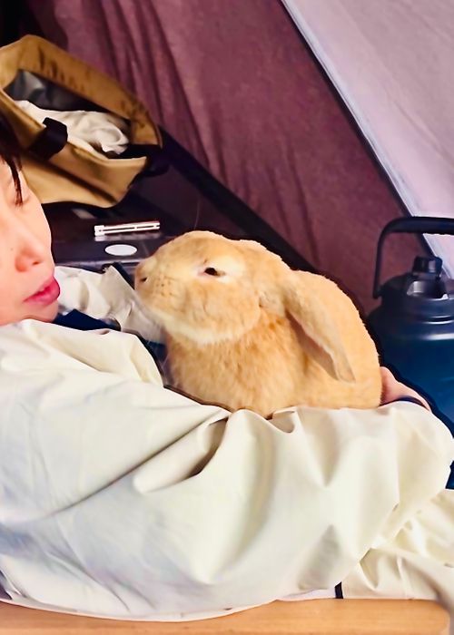 結局なぁ〜んも出来なかった悪天候おじおばうさキャン△ in 田万川キャンプ場 〜 CAMP NO.187 田万川キャンプ場 ファミリーキャンプ グループキャンプ フリーサイト おじキャン△さんのキャンプブログ CAMPiii（キャンピー） -キャンプ専用SNS キャンプのすべてがここに集まる-