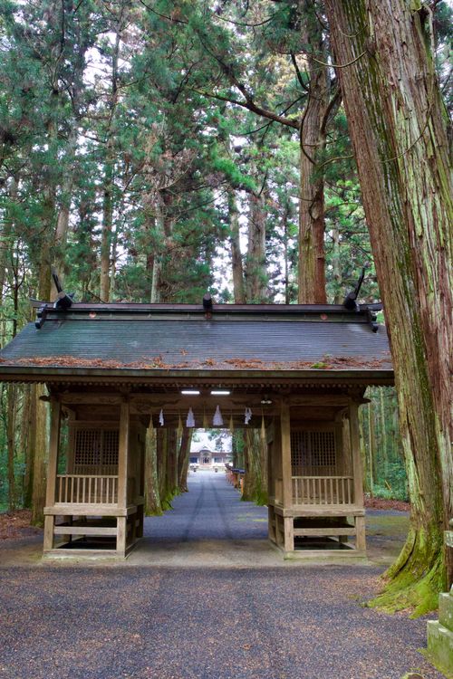 火の粉に泣いたソロキャンプ TAKIBIYA camp field ソロキャンプ 区画サイト yoshiさんのキャンプブログ CAMPiii（キャンピー） -キャンプ専用SNS キャンプのすべてがここに集まる-