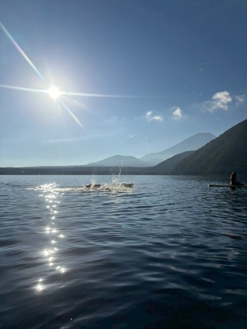 本栖湖supキャンプ 本栖湖いこいの森キャンプ場 グループキャンプ 区画サイト atelierさんのキャンプブログ CAMPiii（キャンピー） -キャンプ専用SNS キャンプのすべてがここに集まる-