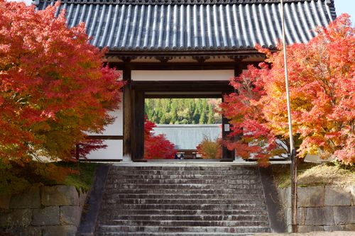 秋の彩りに癒されたキャンプ 天竺キャンプ場 ソロキャンプ フリーサイト yoshiさんのキャンプブログ CAMPiii（キャンピー） -キャンプ専用SNS キャンプのすべてがここに集まる-