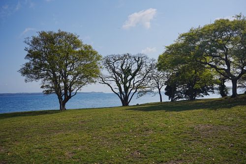 頼れるのはロキソニン 能登島家族旅行村Ｗｅランド skitさんのキャンプブログ CAMPiii（キャンピー） -キャンプ専用SNS キャンプのすべてがここに集まる-