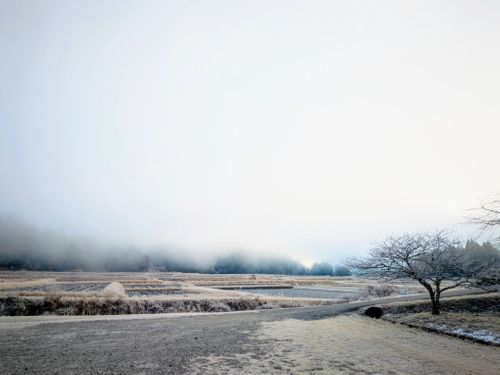 シンシンとした雪の後はニンニンと&hellip; やぶっちゃキャンプ場 ソロキャンプ グループキャンプ オートサイト ぞのさんさんのキャンプブログ CAMPiii（キャンピー） -キャンプ専用SNS キャンプのすべてがここに集まる-