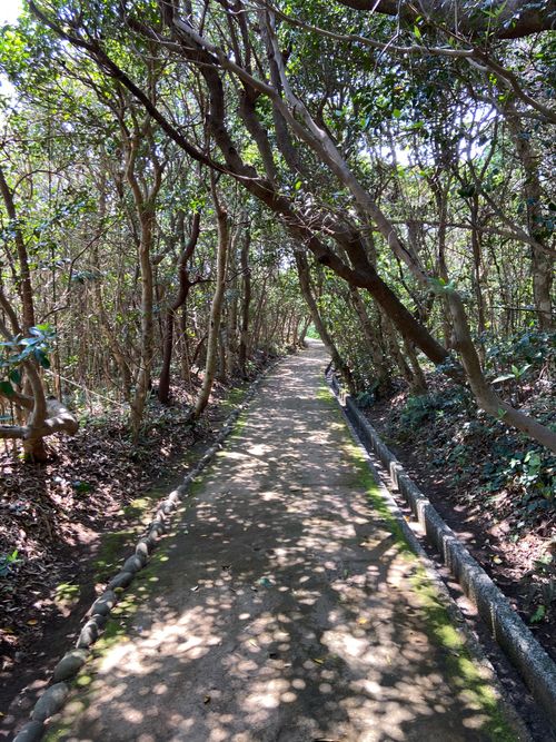 咸陽島公園キャンプ⛺️※過去キャンプ⛺️ 咸陽島公園 ソロキャンプ フリーサイト 平和☮️さんのキャンプブログ CAMPiii（キャンピー） -キャンプ専用SNS キャンプのすべてがここに集まる-