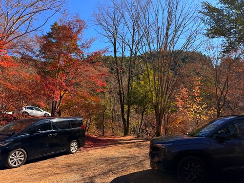 九州伊勢えびキャンプ@阿蘇レインボーバレーたる由縁🌈 阿蘇レインボーバレー グループキャンプ オートサイト ぐうたら夫婦さんのキャンプブログ CAMPiii（キャンピー） -キャンプ専用SNS キャンプのすべてがここに集まる-