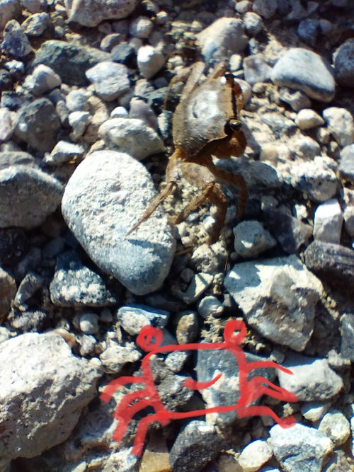また釣りキャン 浜オートキャンプ場 ソロキャンプ 区画サイト たかたかぽんたさんのキャンプブログ CAMPiii（キャンピー） -キャンプ専用SNS キャンプのすべてがここに集まる-