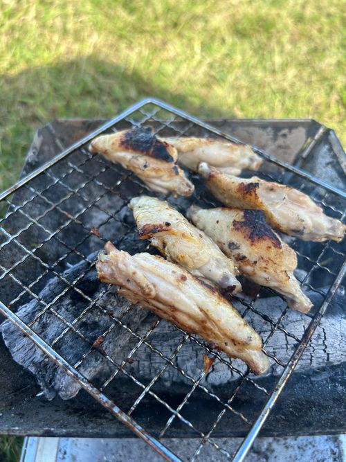 せっかくのＳＷ うみかぜ公園 ソロキャンプ フリーサイト Genさんのキャンプブログ CAMPiii（キャンピー） -キャンプ専用SNS キャンプのすべてがここに集まる-