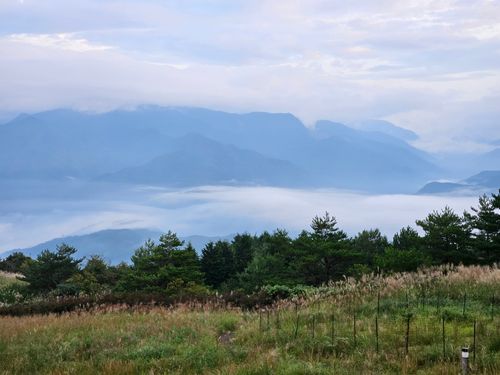 雲海キャンプ2025 ① ゆとりすとパークおおとよ ソロキャンプ 区画サイト 三代目とっしぃさんのキャンプブログ CAMPiii（キャンピー） -キャンプ専用SNS キャンプのすべてがここに集まる-