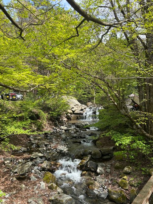 久しぶりのソロキャンプ🏕️ 道志の森キャンプ場 ソロキャンプ フリーサイト Genさんのキャンプブログ CAMPiii（キャンピー） -キャンプ専用SNS キャンプのすべてがここに集まる-