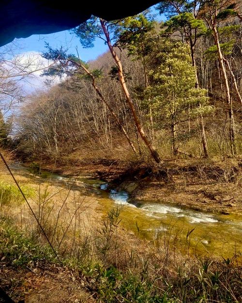 自然と一体！サウナと小川で「ととのう」贅沢時間 OUSE Camp＆Sauna TUULI（トゥーリ） Oniyomeさんのキャンプブログ CAMPiii（キャンピー） -キャンプ専用SNS キャンプのすべてがここに集まる-