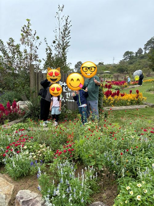 2025年13回目、お花畑キャン💐 花の駅せら「世羅ゆり園」 ファミリーキャンプ 区画サイト オートサイト わいげさんのキャンプブログ CAMPiii（キャンピー） -キャンプ専用SNS キャンプのすべてがここに集まる-