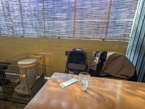 2026初キャンプ！SnowCamp withCAT！ the veg out ソロキャンプ グループキャンプ 区画サイト オートサイト ちあさんのキャンプブログ CAMPiii（キャンピー） -キャンプ専用SNS キャンプのすべてがここに集まる-