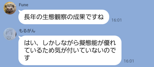 キャンプ行けない時の励みになったので共有 日本 IZUIZUさんのキャンプブログ CAMPiii（キャンピー） -キャンプ専用SNS キャンプのすべてがここに集まる-
