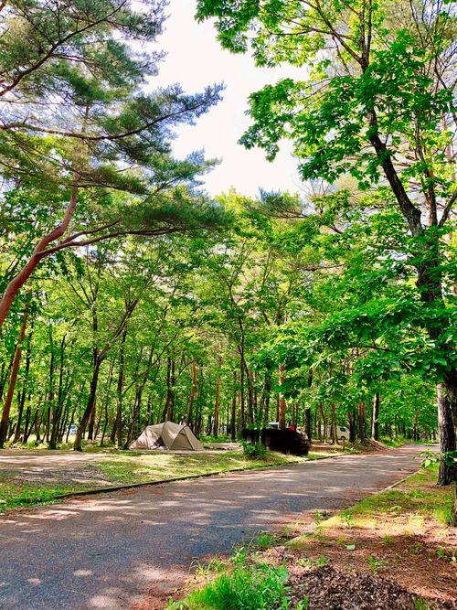 もう雪景色はおなかいっぱい&hellip;なので、現実逃避【備忘録】 エンゼルフォレスト那須白河｜ペットと泊まれる宿 Oniyomeさんのキャンプブログ CAMPiii（キャンピー） -キャンプ専用SNS キャンプのすべてがここに集まる-