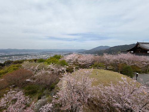 老人2人とピクニック 湖岸緑地 志那1 ファミリーキャンプ フリーサイト 美味しいご飯が食べたい！！さんのキャンプブログ CAMPiii（キャンピー） -キャンプ専用SNS キャンプのすべてがここに集まる-