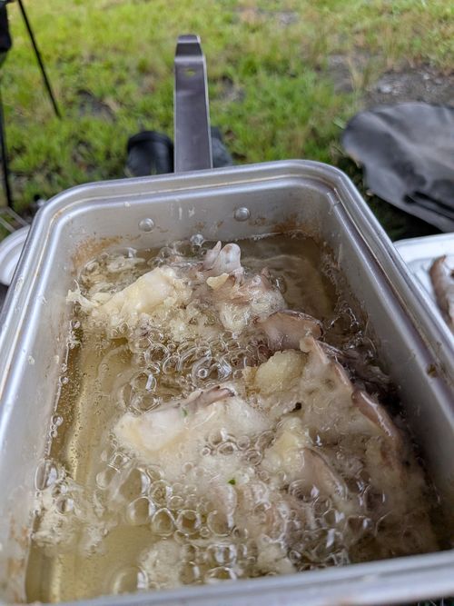 パンダ召喚した馬肉の日 ともえ川Park グループキャンプ オートサイト 区画サイト IZUIZUさんのキャンプブログ CAMPiii（キャンピー） -キャンプ専用SNS キャンプのすべてがここに集まる-