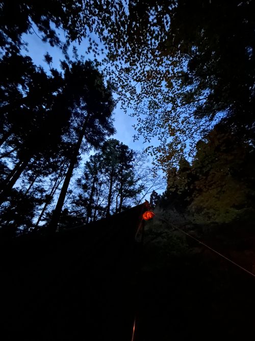 久しぶりのソロキャンプ🏕️ 道志の森キャンプ場 ソロキャンプ フリーサイト Genさんのキャンプブログ CAMPiii（キャンピー） -キャンプ専用SNS キャンプのすべてがここに集まる-