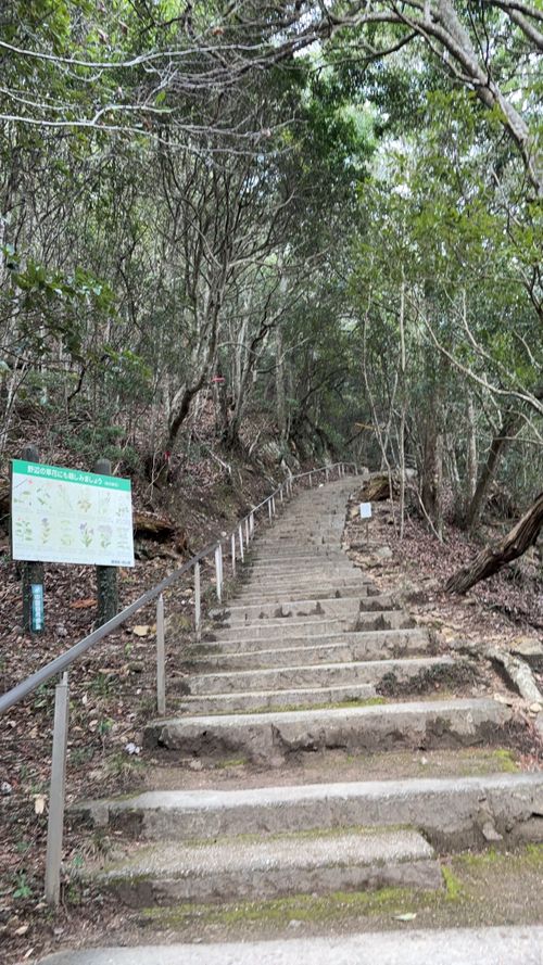 第90話　今回は岡山観光記事っす 弥高山公園キャンプ場 ソロキャンプ フリーサイト ちろ犬さんのキャンプブログ CAMPiii（キャンピー） -キャンプ専用SNS キャンプのすべてがここに集まる-