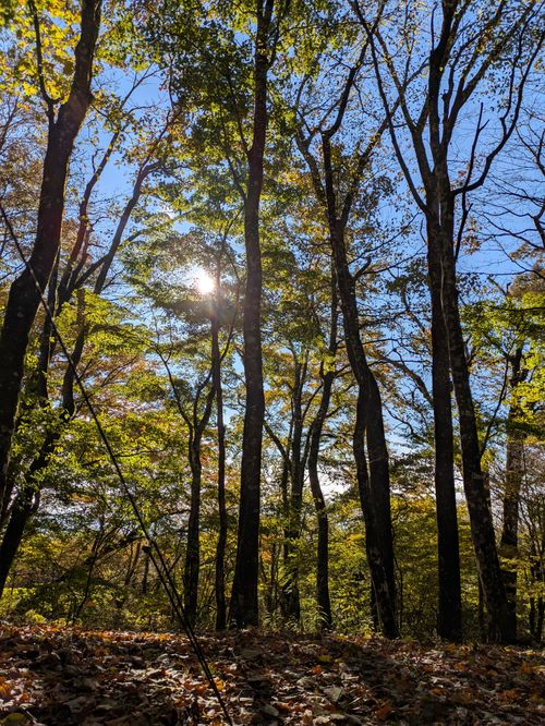 表富士、今シーズンラストです PICA表富士 ソロキャンプ グループキャンプ フリーサイト アニさんのキャンプブログ CAMPiii(キャンピー) -キャンプ専用SNS キャンプのすべてがここに集まる-