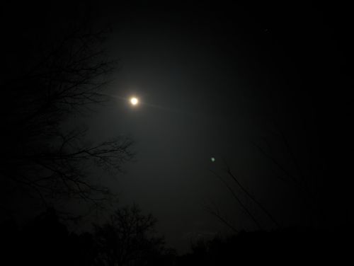 はじめてのソロキャンプ経験&hellip; 新戸キャンプ場 ソロキャンプ フリーサイト オートサイト 区画サイト 好々爺🇯🇵さんのキャンプブログ CAMPiii（キャンピー） -キャンプ専用SNS キャンプのすべてがここに集まる-