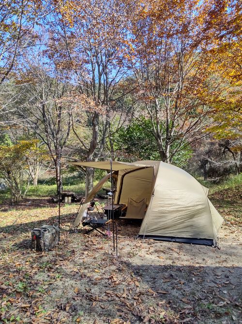 秋晴れカメムシ日和🤣 大父木地親水公園 ソロキャンプ グループキャンプ フリーサイト マッサンさんのキャンプブログ CAMPiii（キャンピー） -キャンプ専用SNS キャンプのすべてがここに集まる-