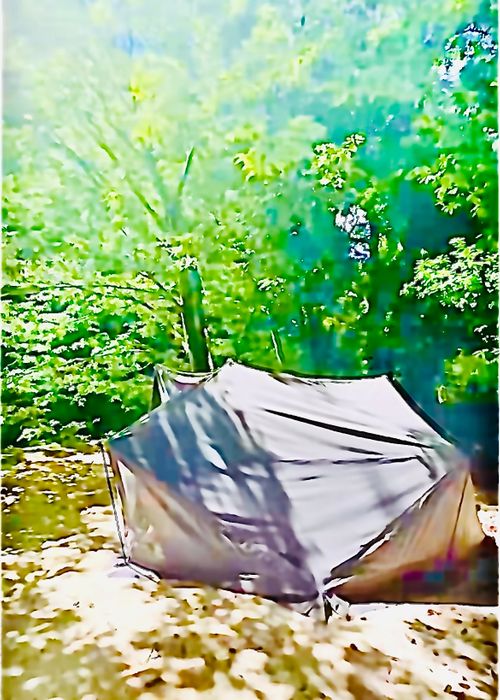 夏だ！川遊びだ！華麗に泳ぐきなこと おじおば🐰キャン△ in 須川家族村オートキャンプ場 〜 CAMP NO.201 須川家族村オートキャンプ場 ファミリーキャンプ グループキャンプ 区画サイト おじキャン△さんのキャンプブログ CAMPiii（キャンピー） -キャンプ専用SNS キャンプのすべてがここに集まる-