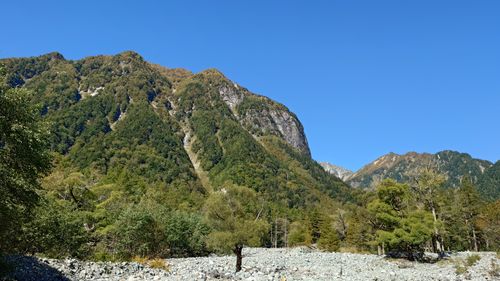 紅葉🍁登山 涸沢カール ソロキャンプ グループキャンプ フリーサイト まーささんのキャンプブログ CAMPiii（キャンピー） -キャンプ専用SNS キャンプのすべてがここに集まる-
