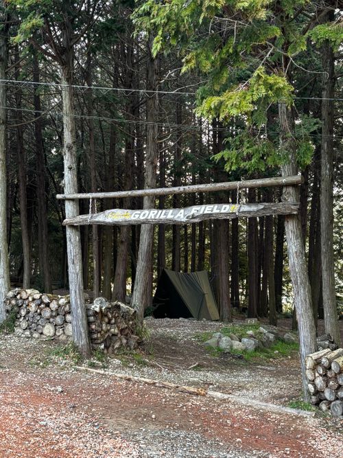 春休み、異動前キャンプ ゴリラフィールドとよのキャンプ場 GORILLA FIELD TOYONO グループキャンプ 区画サイト あやぴーさんのキャンプブログ CAMPiii（キャンピー） -キャンプ専用SNS キャンプのすべてがここに集まる-