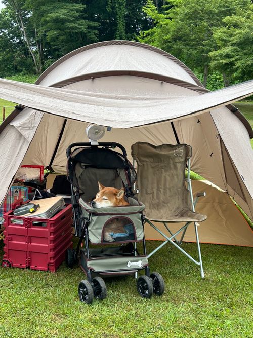 急に涼しい🤭　そんな日は､犬連れデイキャンプ⛺️  モリリン加瀬沼公園 グループキャンプ 区画サイト るぽこさんのキャンプブログ CAMPiii（キャンピー） -キャンプ専用SNS キャンプのすべてがここに集まる-