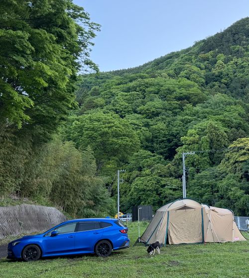 受験終わったので久々のファミキャン@清川村 MAMURO Camp base ファミリーキャンプ 区画サイト Takadaさんのキャンプブログ CAMPiii（キャンピー） -キャンプ専用SNS キャンプのすべてがここに集まる-