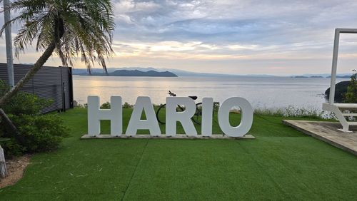 CAMPiii（キャンピー） フッキーさんのキャンプブログ HARIO(針尾)で二日酔い 西海橋オートキャンプ場