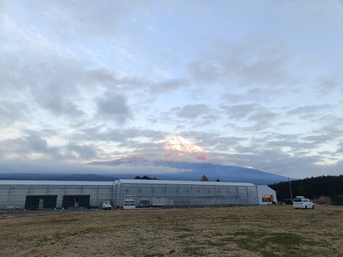 トマトっぱら 富士高原トマトフィールド ファミリーキャンプ フリーサイト オートサイト Kazu Aさんのキャンプブログ CAMPiii（キャンピー） -キャンプ専用SNS キャンプのすべてがここに集まる-