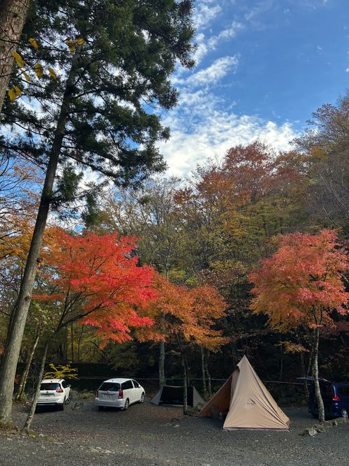 紅葉🍁キャンプ 山伏オートキャンプ場 ソロキャンプ グループキャンプ 区画サイト Genさんのキャンプブログ CAMPiii（キャンピー） -キャンプ専用SNS キャンプのすべてがここに集まる-