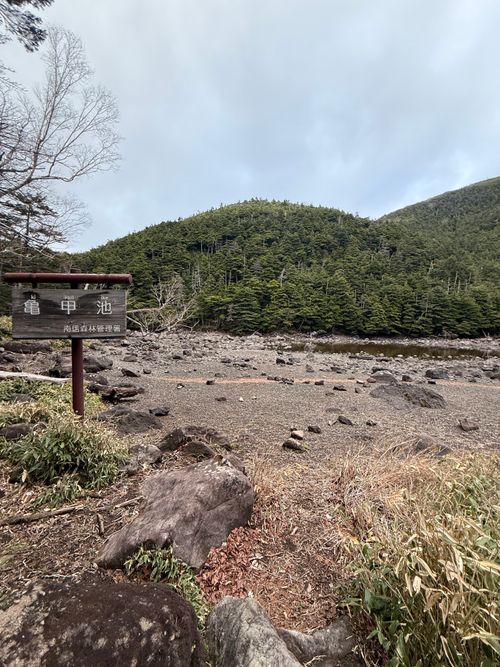 北八ヶ岳火山湖めぐり 双子池キャンプ場 ソロキャンプ フリーサイト シルバーズさんのキャンプブログ CAMPiii（キャンピー） -キャンプ専用SNS キャンプのすべてがここに集まる-
