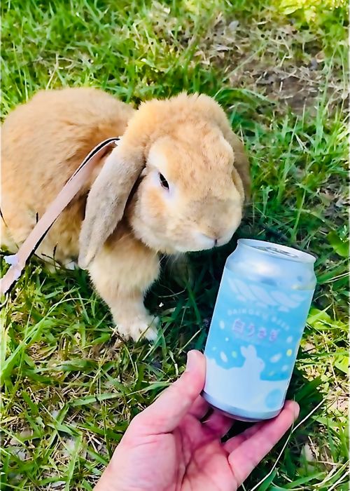 ほっ、ほっ、ほ〜たる来い💕 おじうさグルキャン△ in 阿武川河川敷 〜 CAMP NO.193 川上 ソロキャンプ ファミリーキャンプ グループキャンプ フリーサイト おじキャン△さんのキャンプブログ CAMPiii（キャンピー） -キャンプ専用SNS キャンプのすべてがここに集まる-