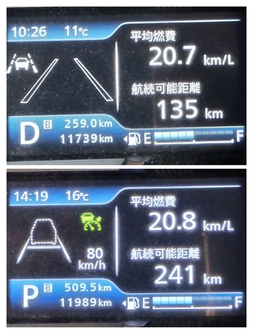 富士キャン 田貫湖キャンプ場 ソロキャンプ グループキャンプ フリーサイト たかたかぽんたさんのキャンプブログ CAMPiii（キャンピー） -キャンプ専用SNS キャンプのすべてがここに集まる-