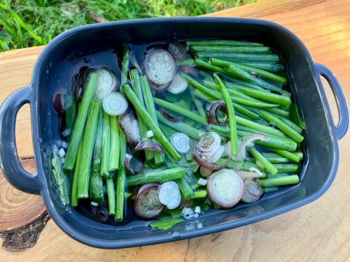 鳥取スゴッ! もう砂漠じゃん 行ったことないけどw 西のふもとっぱらMasumizu天空キャンプ場 ソロキャンプ フリーサイト けんじさんのキャンプブログ CAMPiii(キャンピー) -キャンプ専用SNS キャンプのすべてがここに集まる-