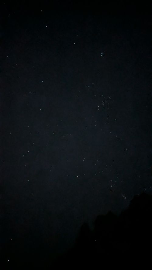 西海岸？🏄️いいえ、ここは西◯◯！ 阿蘇キャンプ Palm Park Adagio ソロキャンプ オートサイト ヒゲキャンさんのキャンプブログ CAMPiii（キャンピー） -キャンプ専用SNS キャンプのすべてがここに集まる-