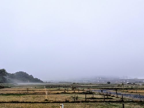 京都グルは全国制覇の覇者と。 保津河川敷キャンプ場 ソロキャンプ グループキャンプ 区画サイト ぞのさんさんのキャンプブログ CAMPiii（キャンピー） -キャンプ専用SNS キャンプのすべてがここに集まる-