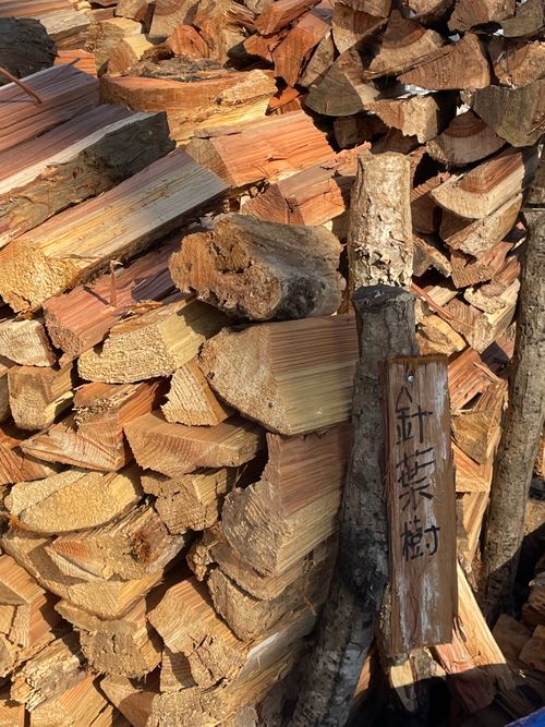 薪放題に満足🪵 くにあきの森：あなたまかせのキャンプ場 グループキャンプ ソロキャンプ フリーサイト もるがんさんのキャンプブログ CAMPiii（キャンピー） -キャンプ専用SNS キャンプのすべてがここに集まる-