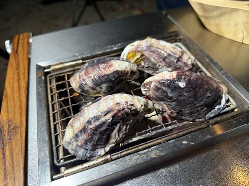 九州伊勢えびキャンプ🦞̥@紅葉観に行こーよ🍁 阿蘇レインボーバレー ファミリーキャンプ オートサイト ぐうたら夫婦さんのキャンプブログ CAMPiii（キャンピー） -キャンプ専用SNS キャンプのすべてがここに集まる-