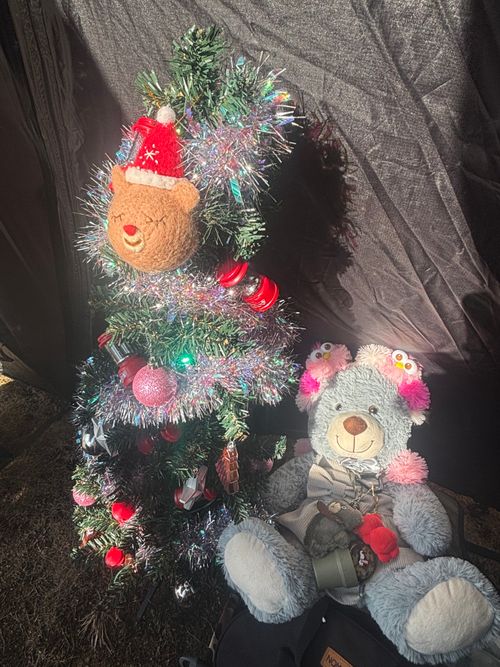 【2025】終わりよければすべてよし 福島県 Oniyomeさんのキャンプブログ CAMPiii（キャンピー） -キャンプ専用SNS キャンプのすべてがここに集まる-