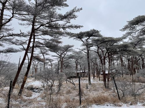 CAMPiii（キャンピー） Anomiさんのキャンプブログ オープン最終日の大寒波❄️ えびの高原 キャンプ村