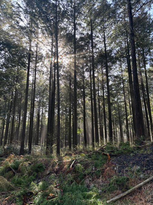 GO OUTジャンボリー2026 ふもとっぱらキャンプ場 グループキャンプ オートサイト モンジロウ🦉さんのキャンプブログ CAMPiii（キャンピー） -キャンプ専用SNS キャンプのすべてがここに集まる-